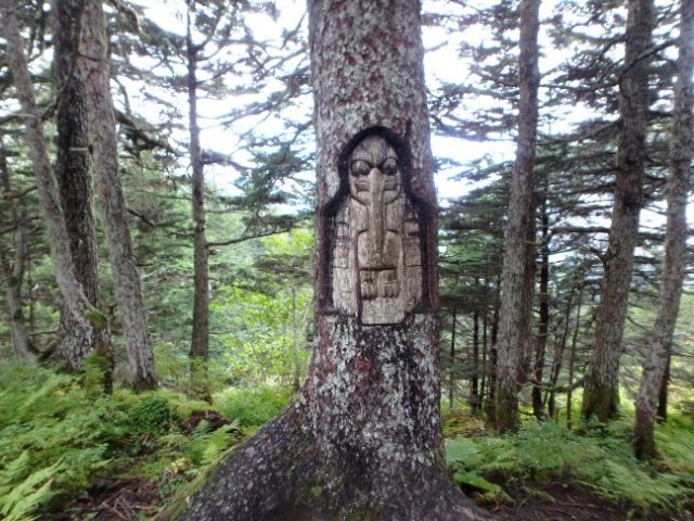 carved tree on the tram trail