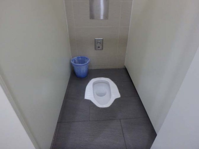 squat toilet